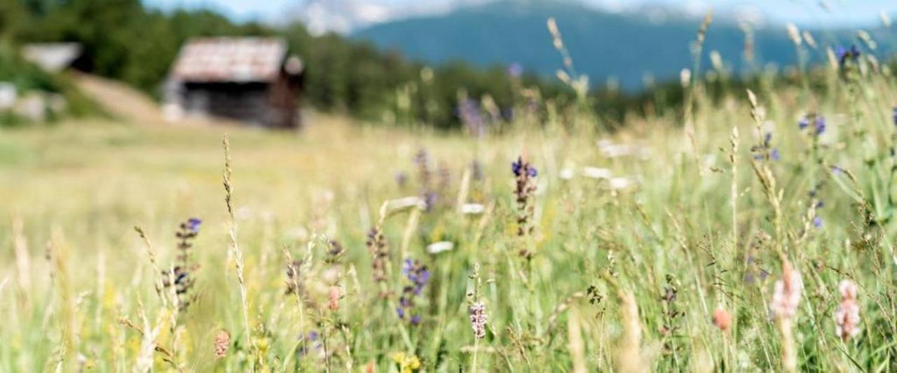Hotel Restaurant Buerchnerhof Bürchen Dış mekan fotoğraf